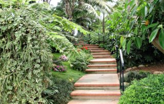 meditation garden steps - Spiritual Events San Diego